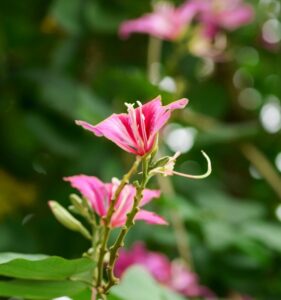 名古屋の占い師で口コミ評価が高いおすすめは？