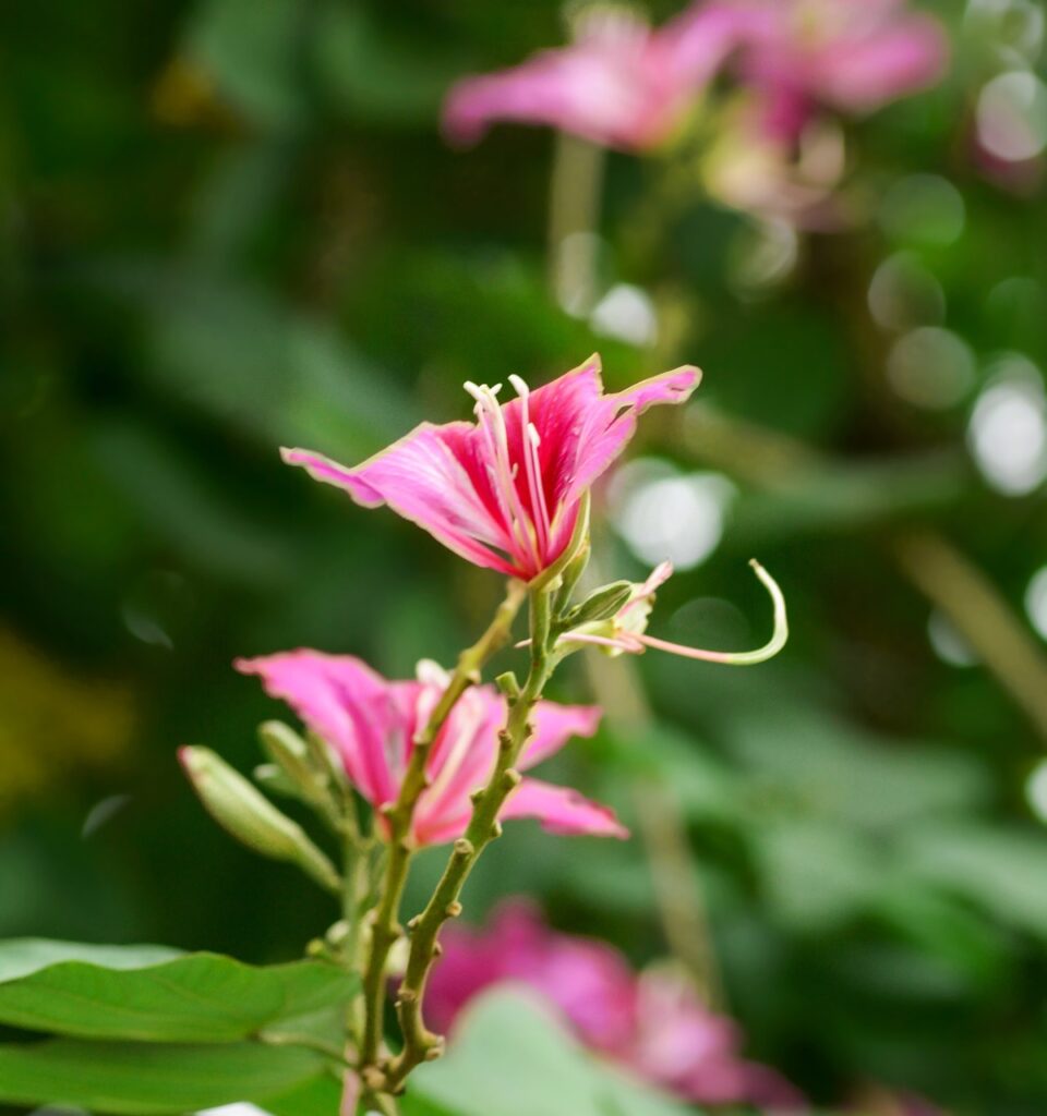 名古屋の占い師で口コミ評価が高いおすすめは？