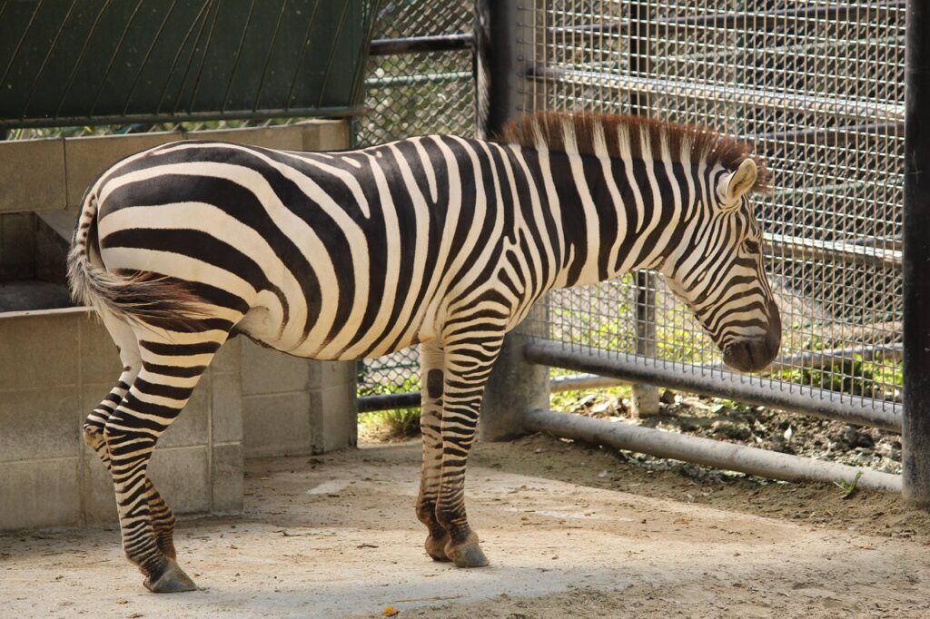 福岡の仕事運を占う占いサロンの予約方法は？