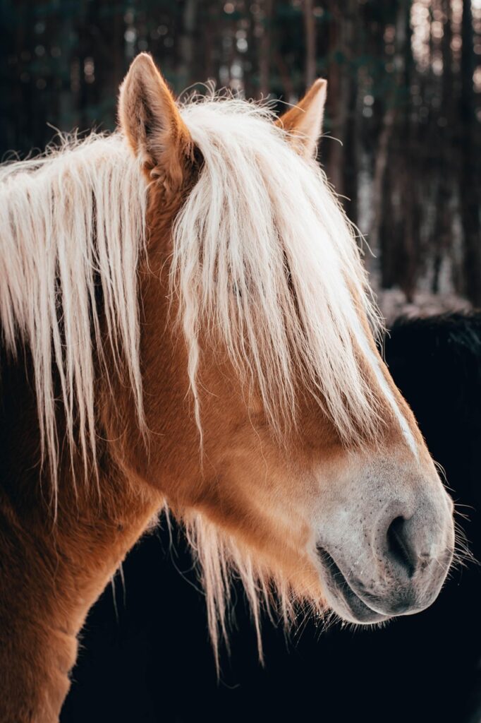 電話占いでチャクラを活用した信頼できる口コミは？