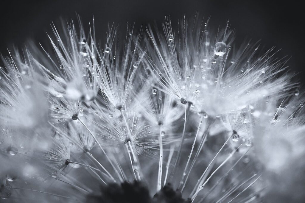 彼女が欲しい人のための占い相談の方法は？