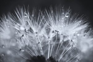 彼女が欲しい人のための占い相談の方法は？