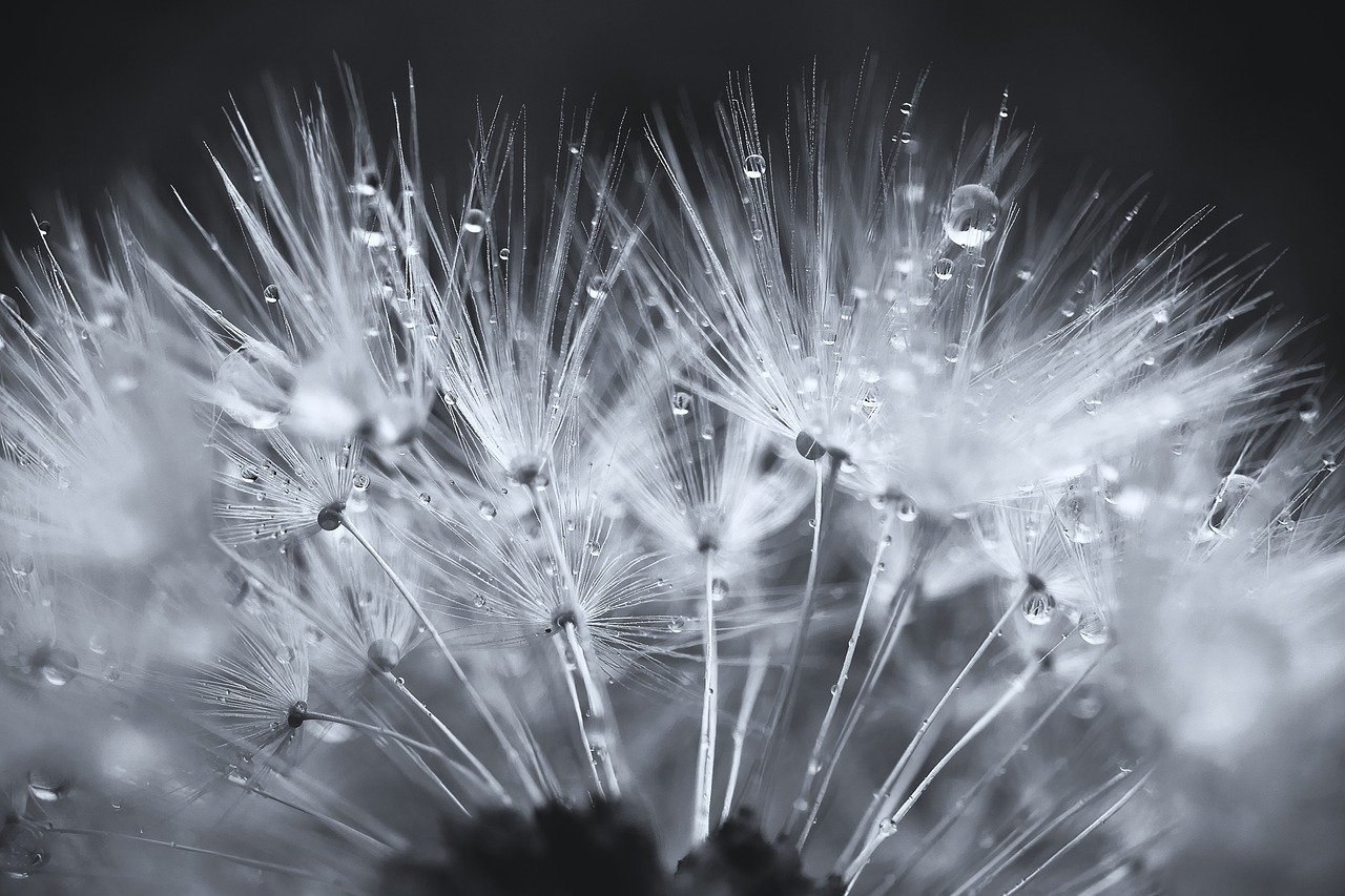 彼女が欲しい人のための占い相談の方法は？