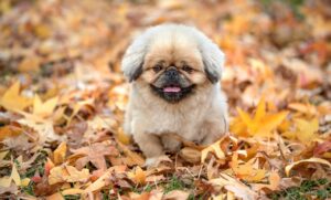 年の差恋愛に関する占いの信憑性は？