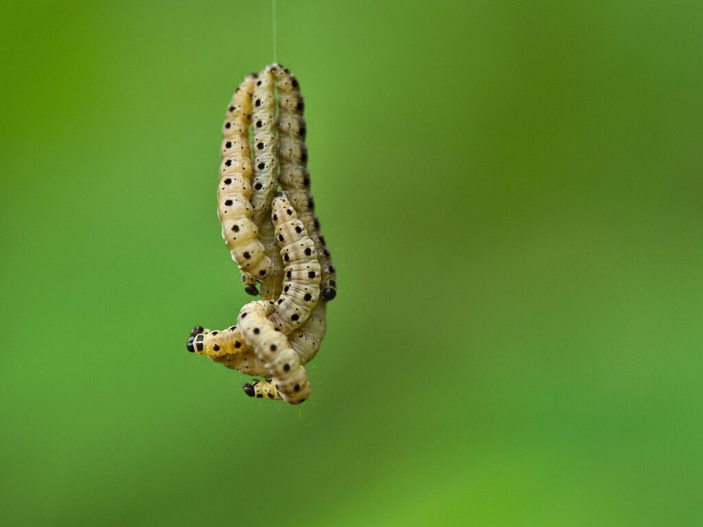 魂の声を無視するとどうなるのか？