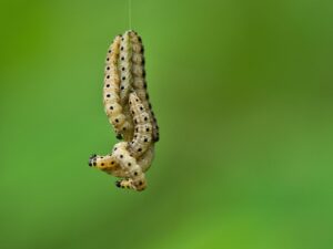 魂の声を無視するとどうなるのか？