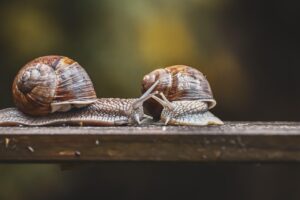使命を生きる意味とは？スピリチュアルな観点から解説！