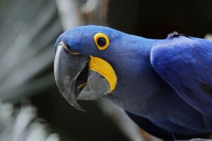 才能を最大化する方法は実践で見つかる？